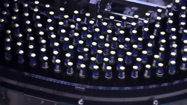 Beer bottles on conveyor of water bottling machine — Stock Video