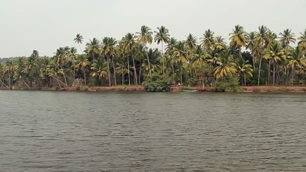 Tiracol ποταμού στην ηλιόλουστη μέρα, Goa Ινδία — Αρχείο Βίντεο