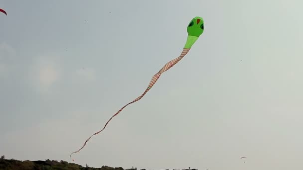 Gran serpiente cometa volando sobre el cielo azul — Vídeo de stock