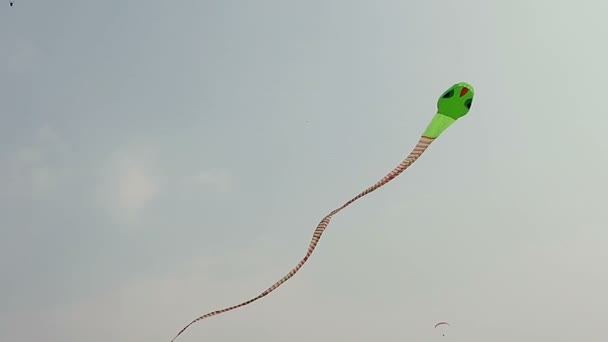 Big kite snake flying over blue sky — Stock Video