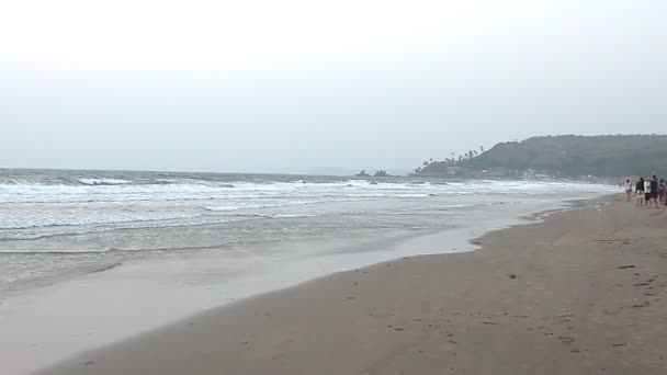 Niet-geïdentificeerde mensen ontspannen op het strand. Goa staat Arambol strand. — Stockvideo