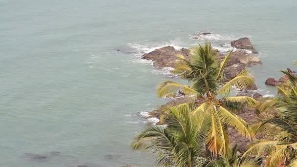 Hermosa playa en Goa — Vídeo de stock