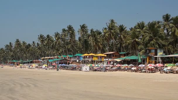 Huisjes en hutten aan het strand van Palolem — Stockvideo