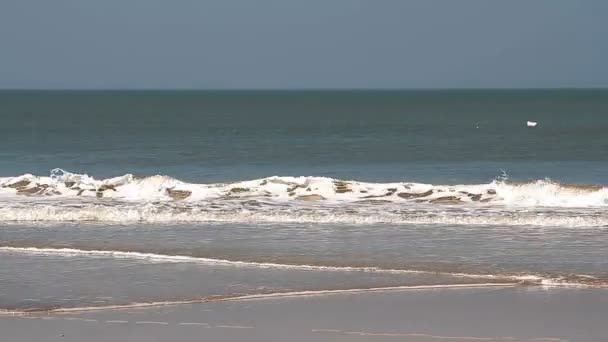 Vackra havet vågor på stranden i Goa — Stockvideo