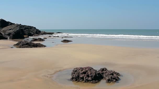 Piękna plaża Talpona Goa — Wideo stockowe