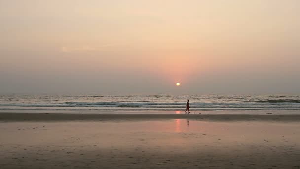 Krása ženy relaxační na pláži Goa v paprscích slunce — Stock video