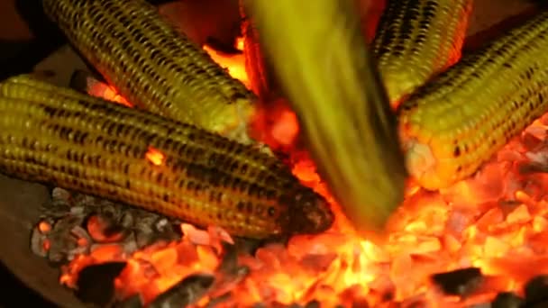 Geroosterde maïs op de kolen in de donkere closeup — Stockvideo