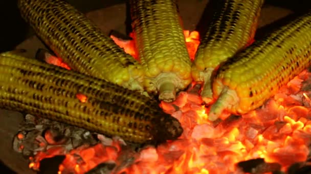 Maíz asado sobre las brasas en el oscuro primer plano — Vídeo de stock