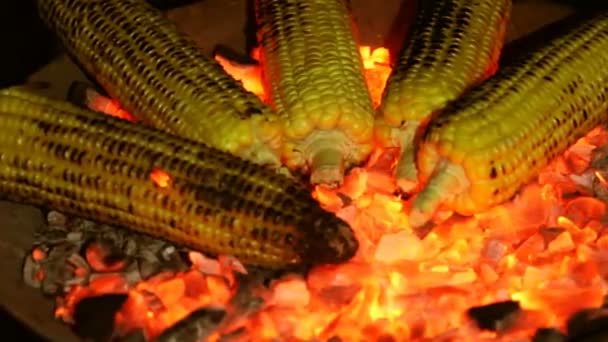 Maíz asado sobre las brasas en el oscuro primer plano — Vídeo de stock