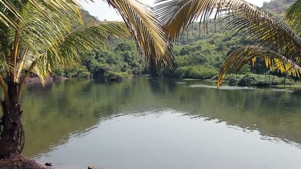 Arambol sweet lake in Goa — Stock Video