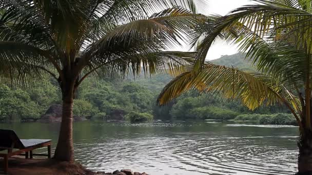 Arambol dolce lago a Goa — Video Stock