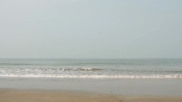 Gelukkig jongeman zwemmen aan het strand — Stockvideo