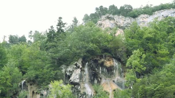 Grande cascade dans la forêt — Video