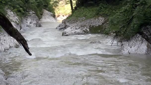 Το ποτάμι βουνό ανάμεσα στα βράχια — Αρχείο Βίντεο