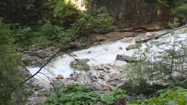 El río de montaña entre las rocas — Vídeo de stock
