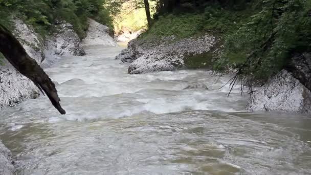 El río de montaña entre las rocas — Vídeo de stock