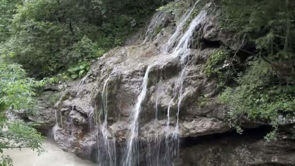 Wodospad w lesie w letni dzień — Wideo stockowe