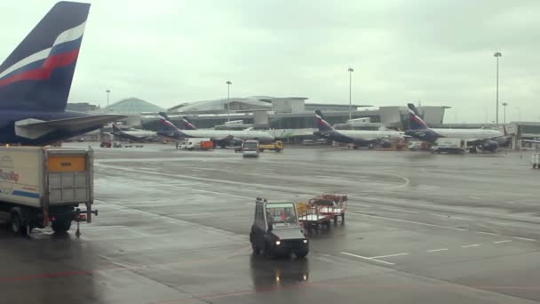 Trafic aéroport : atterrissage d'avions, attente d'une autorisation de décollage avions sur piste, chargement et déchargement de bagages . — Video