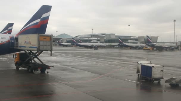 Trafic aéroport : atterrissage d'avions, attente d'une autorisation de décollage avions sur piste, chargement et déchargement de bagages . — Video