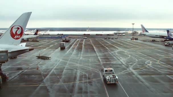 Tráfico aeroportuario: aterrizaje de aviones, espera de despegue permiso aviones en la pista, carga y descarga de equipaje . — Vídeos de Stock