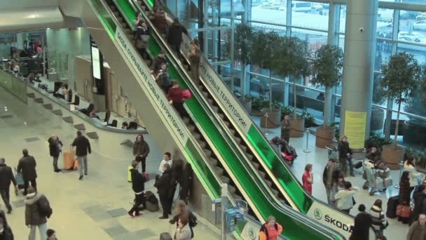 Personnes à l'aéroport international Domodedovo . — Video