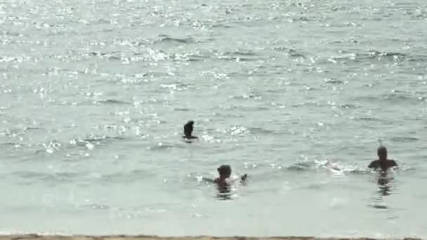 Drie jonge vrouw zwemmen in de Oceaan — Stockvideo