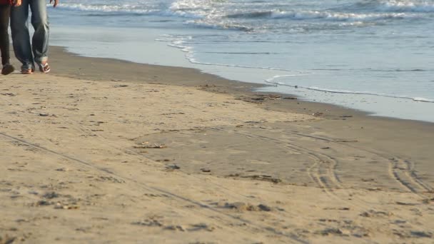 Menschen gehen am Strand spazieren. — Stockvideo