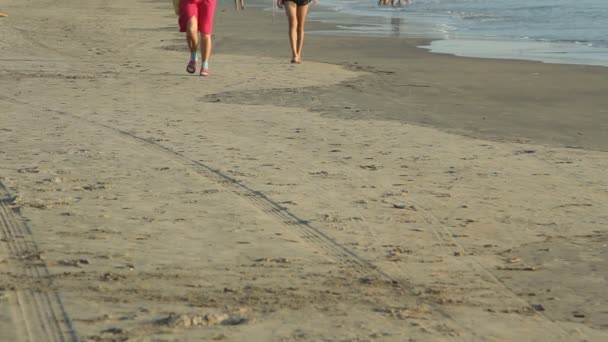 Niet-geïdentificeerde mensen wandelen op het strand. — Stockvideo