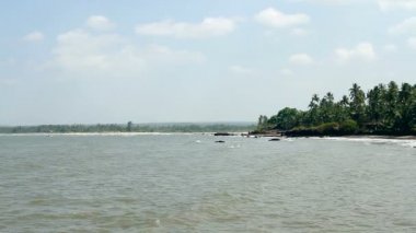 palmiye ağaçları ile kum plaj 