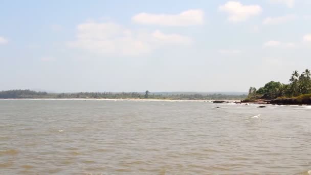 Plage de sable avec palmiers — Video