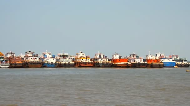 Barcos de pesca comerciais com base no porto — Vídeo de Stock