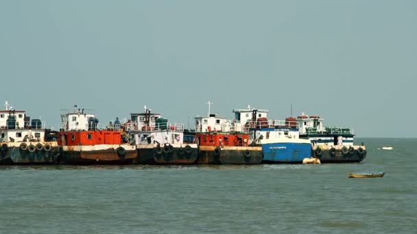 Barcos de pesca comerciais com base no porto — Vídeo de Stock