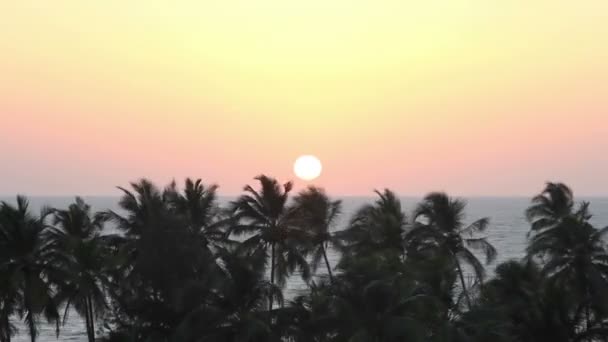 Пальмы силуэт на закате — стоковое видео