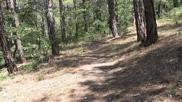 Jeune fille avec un sac à dos dans la campagne de tourisme — Video