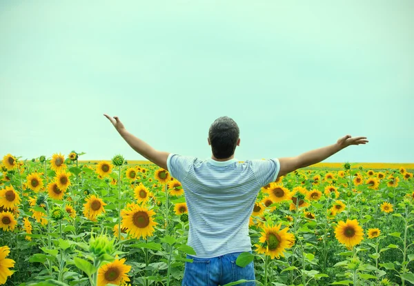 Mann im Feld der Sonnenblumen — Stockfoto