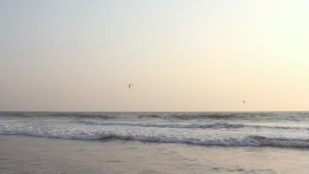 Kiteboarder genießen das Surfen im Meer — Stockvideo