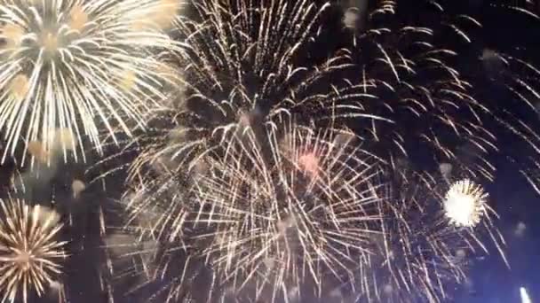 Fuegos artificiales coloridos en la noche de vacaciones — Vídeos de Stock