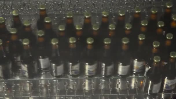 Fábrica de cerveja interior com um monte de máquinas — Vídeo de Stock