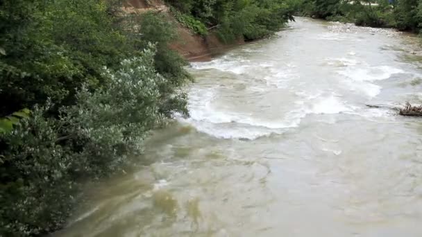 Il fiume di montagna tra le rocce — Video Stock