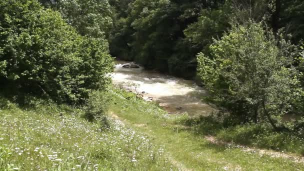 El río de montaña entre las rocas — Vídeos de Stock