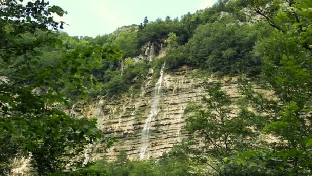 Большой водопад в лесу — стоковое видео
