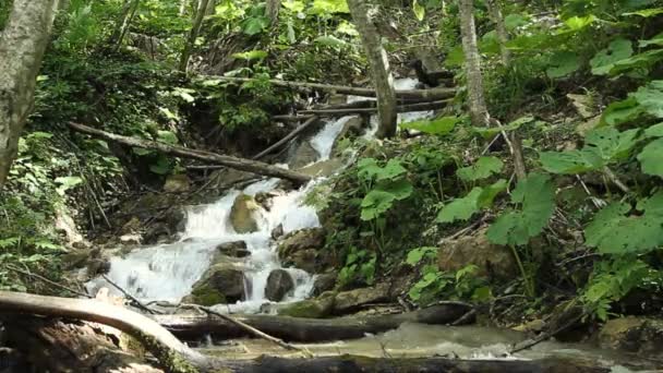 Grande cascata nella foresta — Video Stock