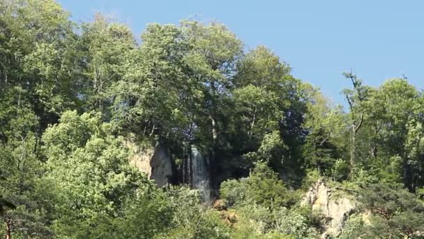 Grande cascata nella foresta — Video Stock