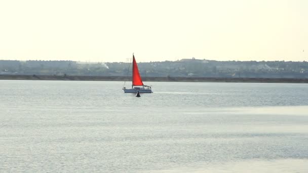 Sailing yacht on the sea at sunny weather — Stock Video