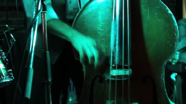 Homme jouant la contrebasse, main et arc détail fermer . — Video