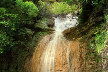 büyük şelale orman