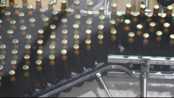 Cerveza interior de fábrica con una gran cantidad de máquinas — Vídeo de stock