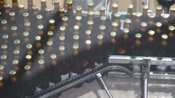 Cerveza interior de fábrica con una gran cantidad de máquinas — Vídeo de stock