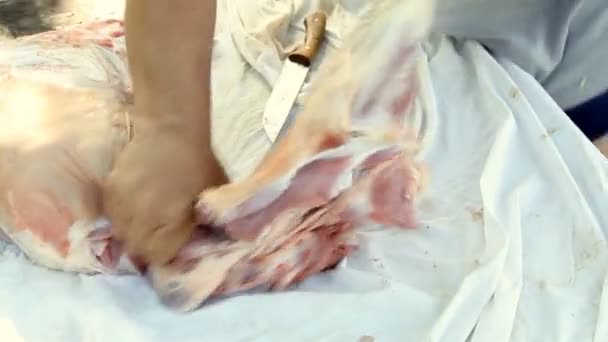 Butcher cutting back part of lamb on the table — Stock Video