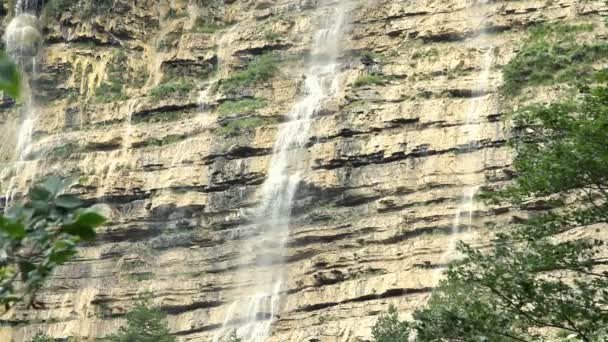 Cascada en el bosque en el día de verano — Vídeos de Stock